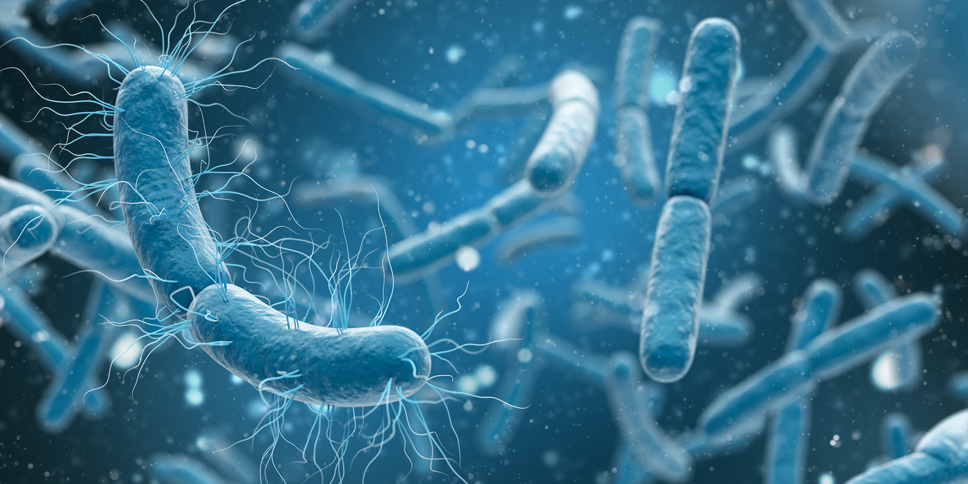 bacteria-1